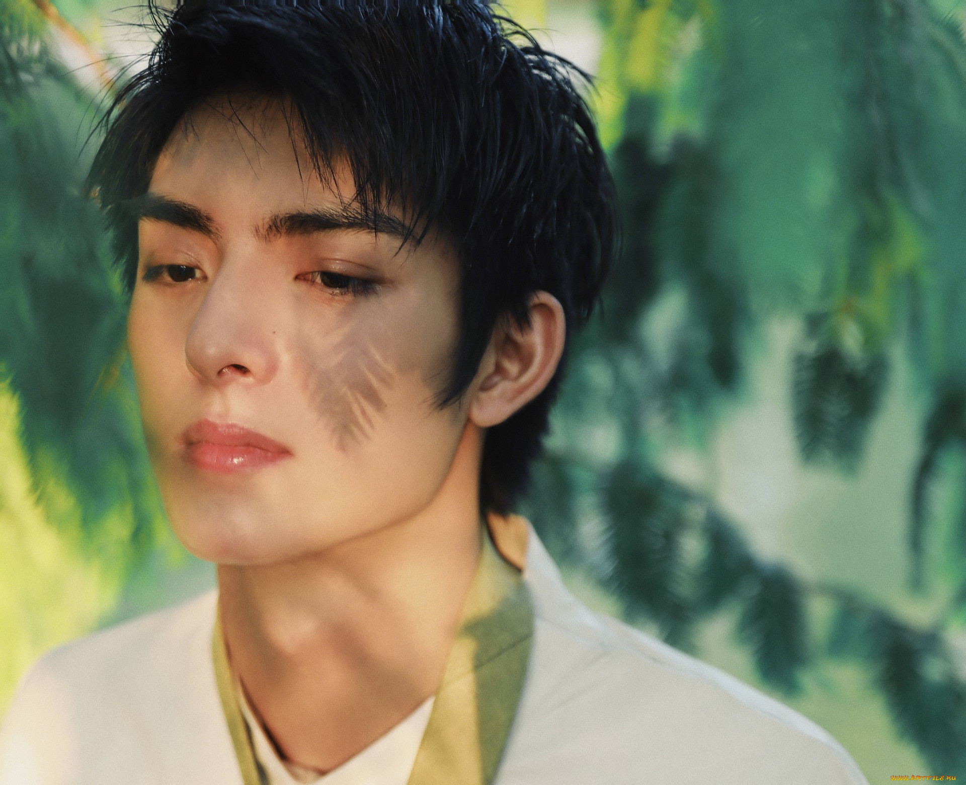 , wang hao xuan, , , wang, hao, xuan